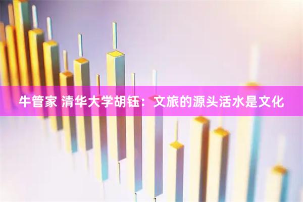 牛管家 清华大学胡钰：文旅的源头活水是文化