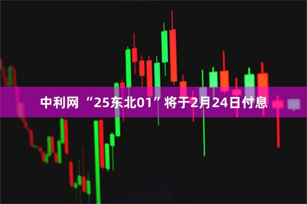 中利网 “25东北01”将于2月24日付息